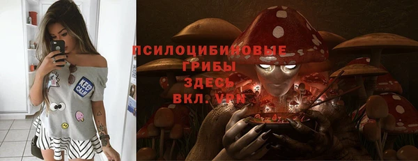 jwh Алзамай