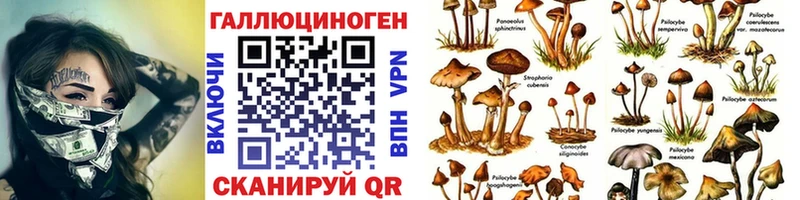 Галлюциногенные грибы ЛСД  mega как зайти  Магадан  где купить наркотик 