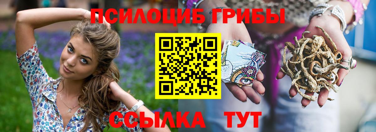 Магадан  Галлюциногенные грибы ЛСД  Вход с VPN 