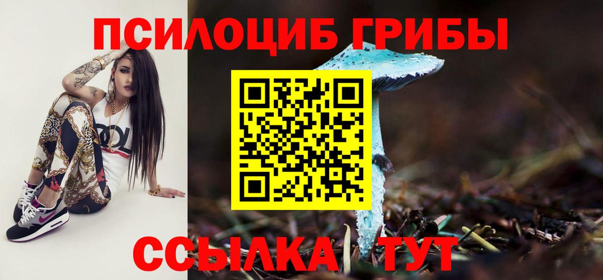Галлюциногенные грибы мухоморы Магадан